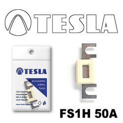 �������������� Tesla �������������� ��������� � ���������� 50� | ������� FS1H50A
