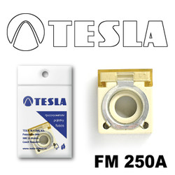 �������������� Tesla �������������� ���������� FM  250A | ������� FM250A